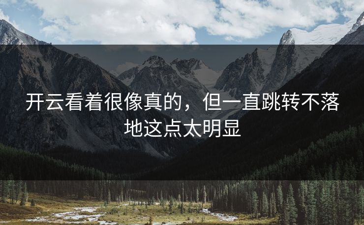 开云看着很像真的，但一直跳转不落地这点太明显