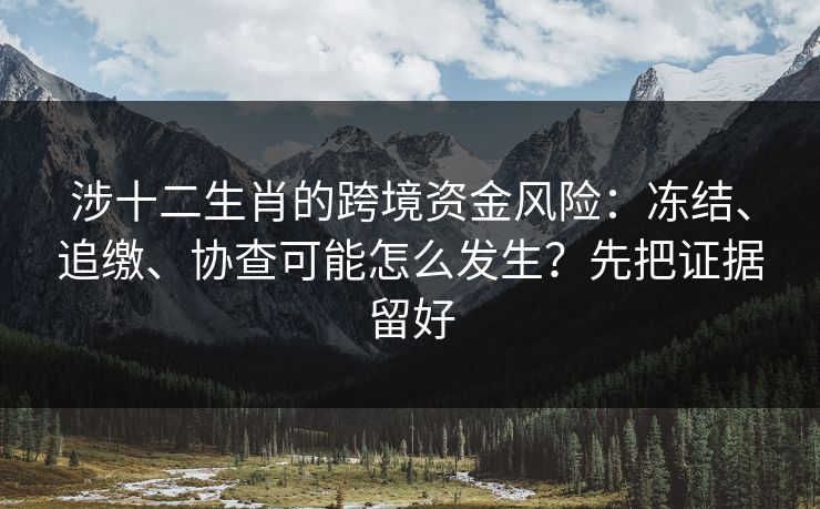 涉十二生肖的跨境资金风险:冻结、追缴、协查可能怎么发生?先把证据留好 涉十二生肖的跨境资金风险:冻结、追缴、协查可能怎么发生?先把证据留好