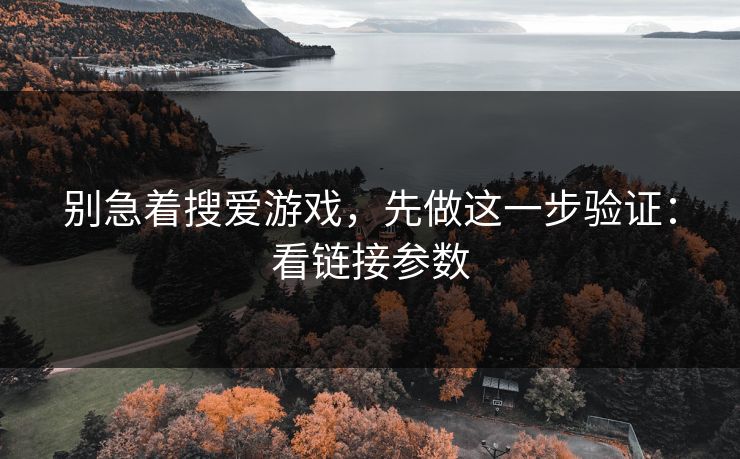 别急着搜爱游戏，先做这一步验证：看链接参数