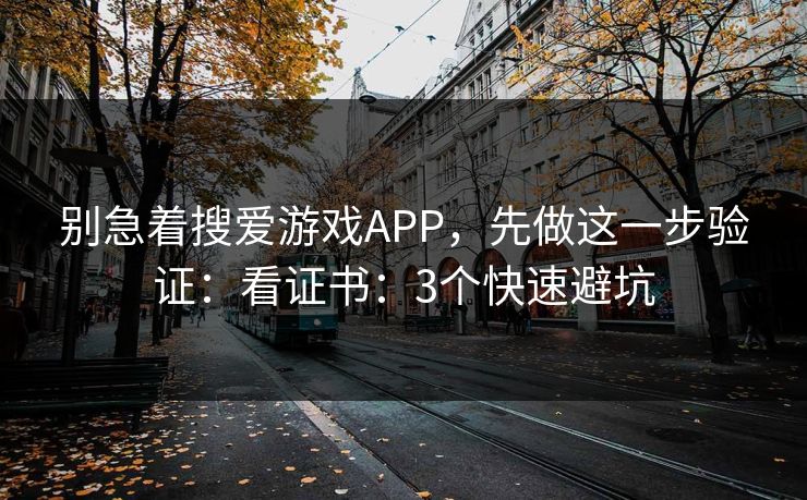 别急着搜爱游戏APP,先做这一步验证:看证书:3个快速避坑 别急着搜爱游戏APP,先做这一步验证:看证书:3个快速避坑