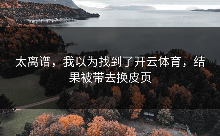 太离谱,我以为找到了开云体育,结果被带去换皮页 太离谱,我以为找到了开云体育,结果被带去换皮页