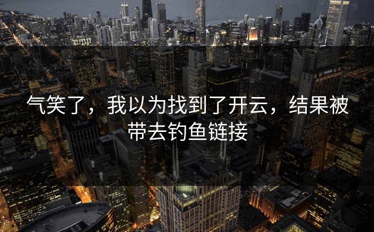 气笑了，我以为找到了开云，结果被带去钓鱼链接